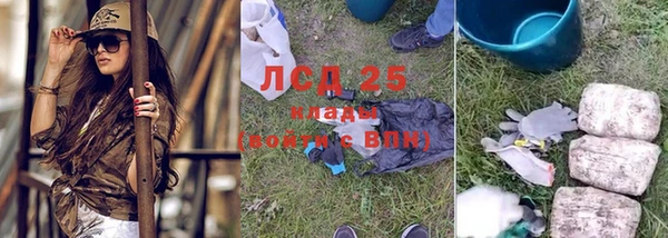спайс Баксан
